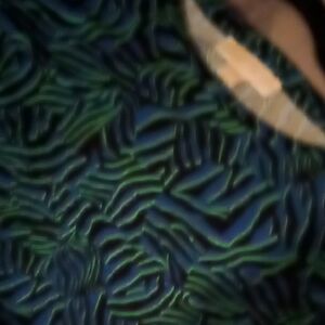 Abstract Patterned Fabric